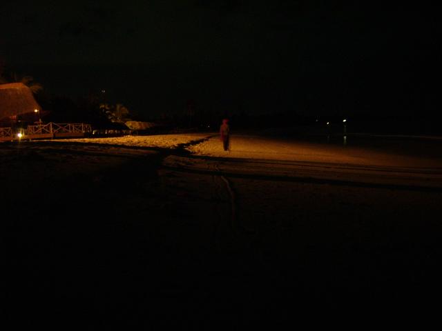 640x480/jd500038.jpg
